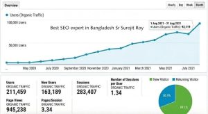 Extraordinary growth from SEO hurdles(SEO Case Study)